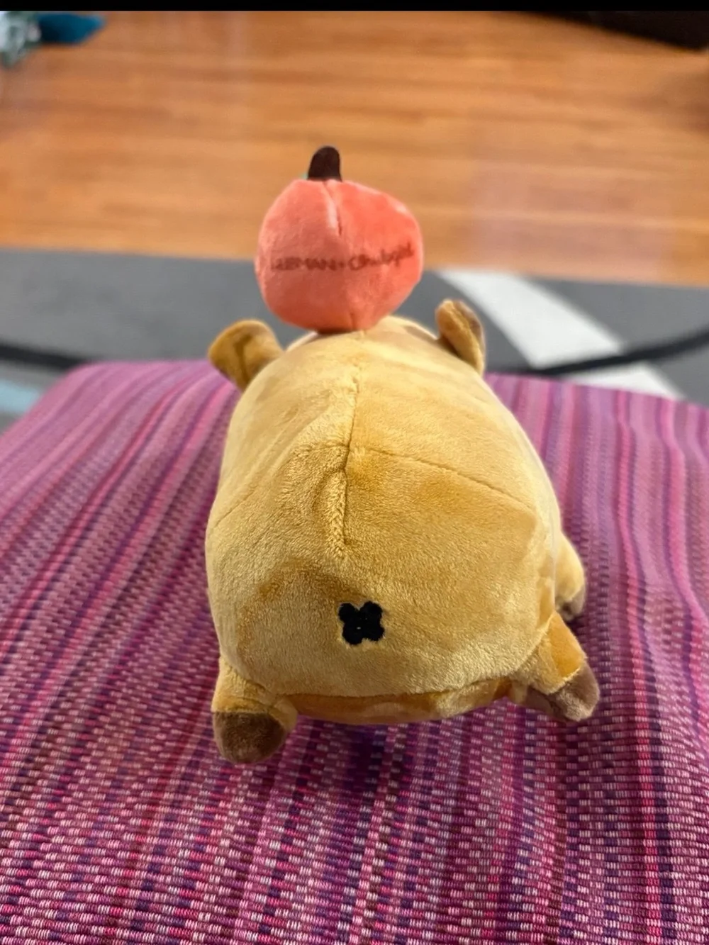 Hubman and Chubgirl capybara Plush with an orange on its head